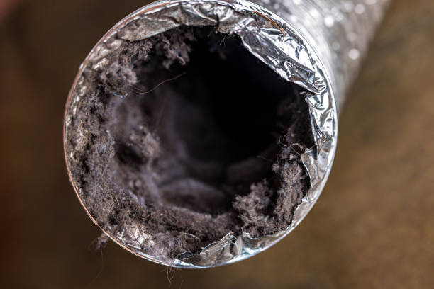 Best Dryer Vent Cleaning in Bethlehem, NC